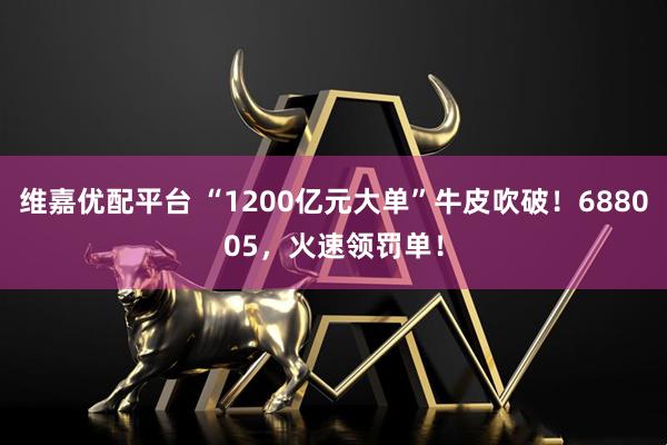 维嘉优配平台 “1200亿元大单”牛皮吹破！688005，火速领罚单！
