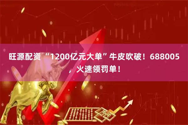 旺源配资 “1200亿元大单”牛皮吹破！688005，火速领罚单！